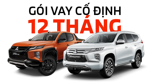 Cố định 12 tháng